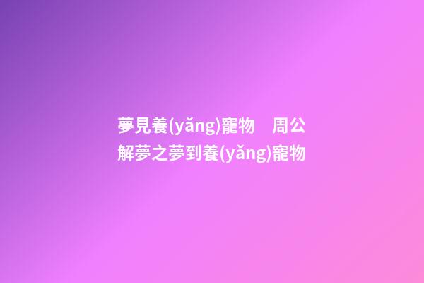 夢見養(yǎng)寵物　周公解夢之夢到養(yǎng)寵物